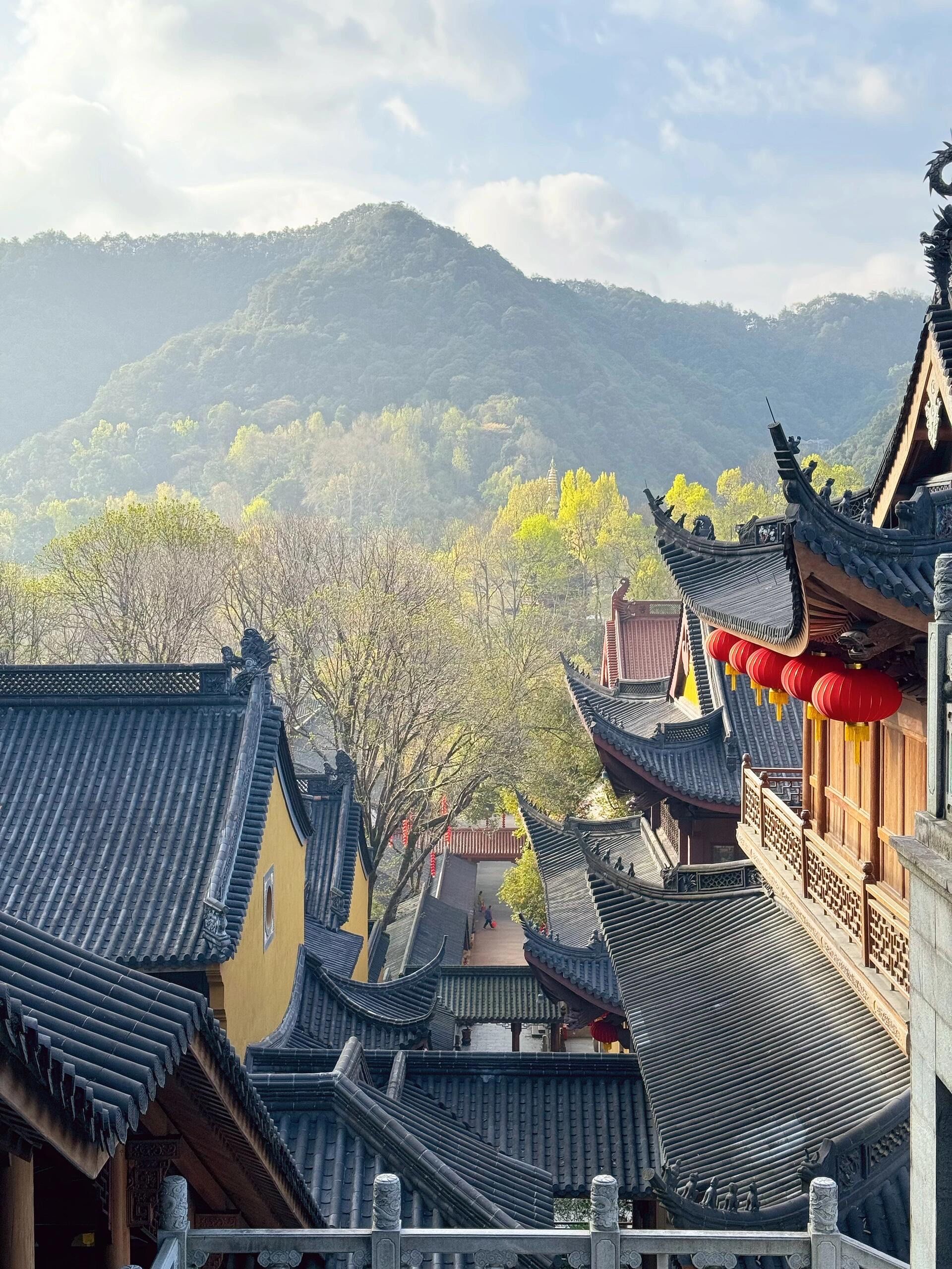 n[双手合十]有缘碰到法喜寺的定本老方丈给我结缘的一条菩提手串跟