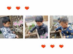 -蒙田森·蒙特梭利幼儿园(锦西园区)