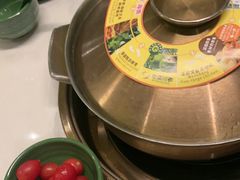 -润园四季椰子鸡火锅(南山海岸城店)