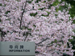 -静安雕塑公园