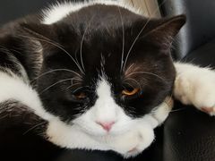 -HONGA HONGA雄家(曹路店)