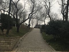 -伯先公园