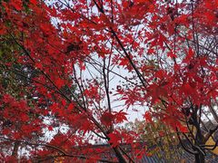 -法云古村