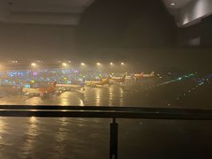 -南京禄口机场雅高铂尔曼大酒店