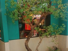 -蛙小侠(五象万象汇店)