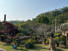 -深圳仙湖植物园