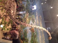 iphone_upload_pic-自贡恐龙博物馆