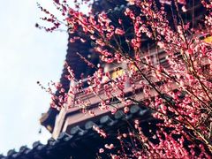 -慧因高丽寺