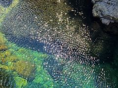 -石台牯牛降景区
