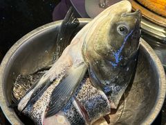 -好灶头妈妈菜·柴火灶台鱼·千岛湖土菜地标美食