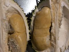 -都念榴莲·城市榴莲