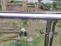-黔灵山公园