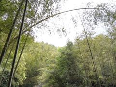 -千泷沟大瀑布旅游区