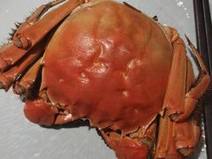 -淮扬韵(凤八市政府店)