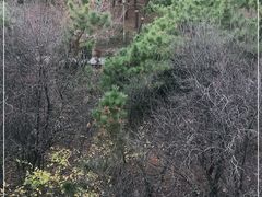 -贮水山儿童公园