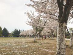 -石湖景区