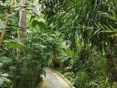 -郑州植物园