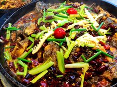 -老板恋上鱼(恒隆广场店)