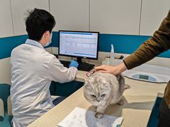 -睿金宠物医院·CT·肿瘤·骨外科