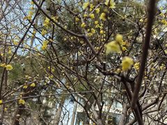 -月坛公园