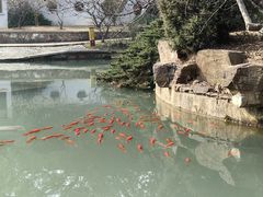 -无锡梅园公园