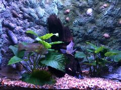 -上海海洋水族馆