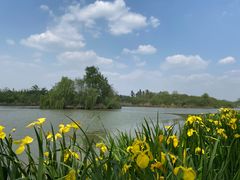 -白鹭湾湿地公园