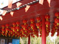 -松山湖梦幻百花洲