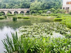 -九华山聚龙大酒店