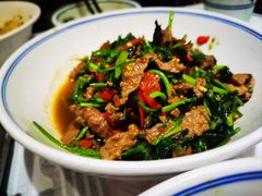-壹盏灯(惠农店)