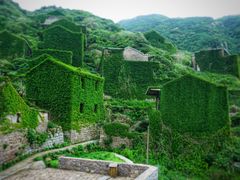 -枸杞岛