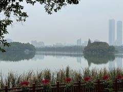 -食膳公园包子铺(烈士公园店)