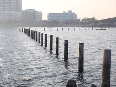 -八大关景区