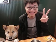 -more than meow吴止猫主题餐厅(承德 中船汇店)