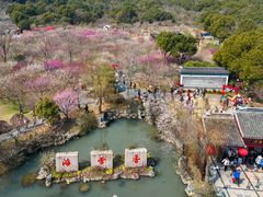 -香雪海