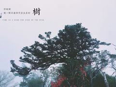 -牛背梁国家森林公园