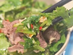 -九寨特色牦牛肉汤锅 羊肉汤锅