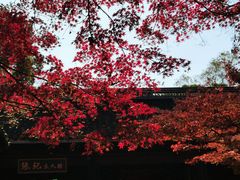 -惠山古镇·寄畅园