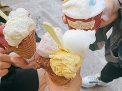 -Gelateria Dondoli
