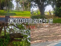 -华侨公园