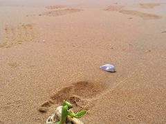 -三亚海棠湾万丽度假酒店