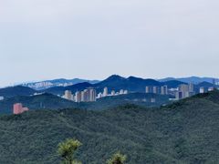 -棒棰岛宾馆景区