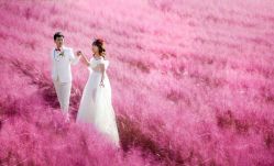 点击看大图 -维纳斯婚纱摄影(鞍山店)
