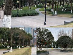 -重庆市江北嘴中央商务区中央公园