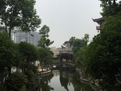-眉山湿地公园(东坡区)