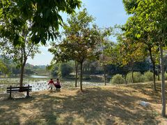 -华南师范大学(广州大学城校区)