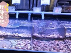 海鲜饼-韩盛·盛江山自助料理(中街大悦城店)