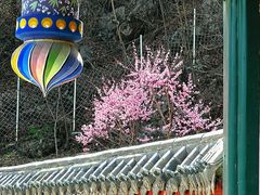 -九鼎铁刹山风景区