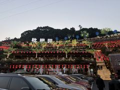-枇杷园食为鲜火锅(南山店)