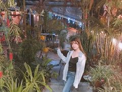 绿野仙踪-Le Chalet Dalat